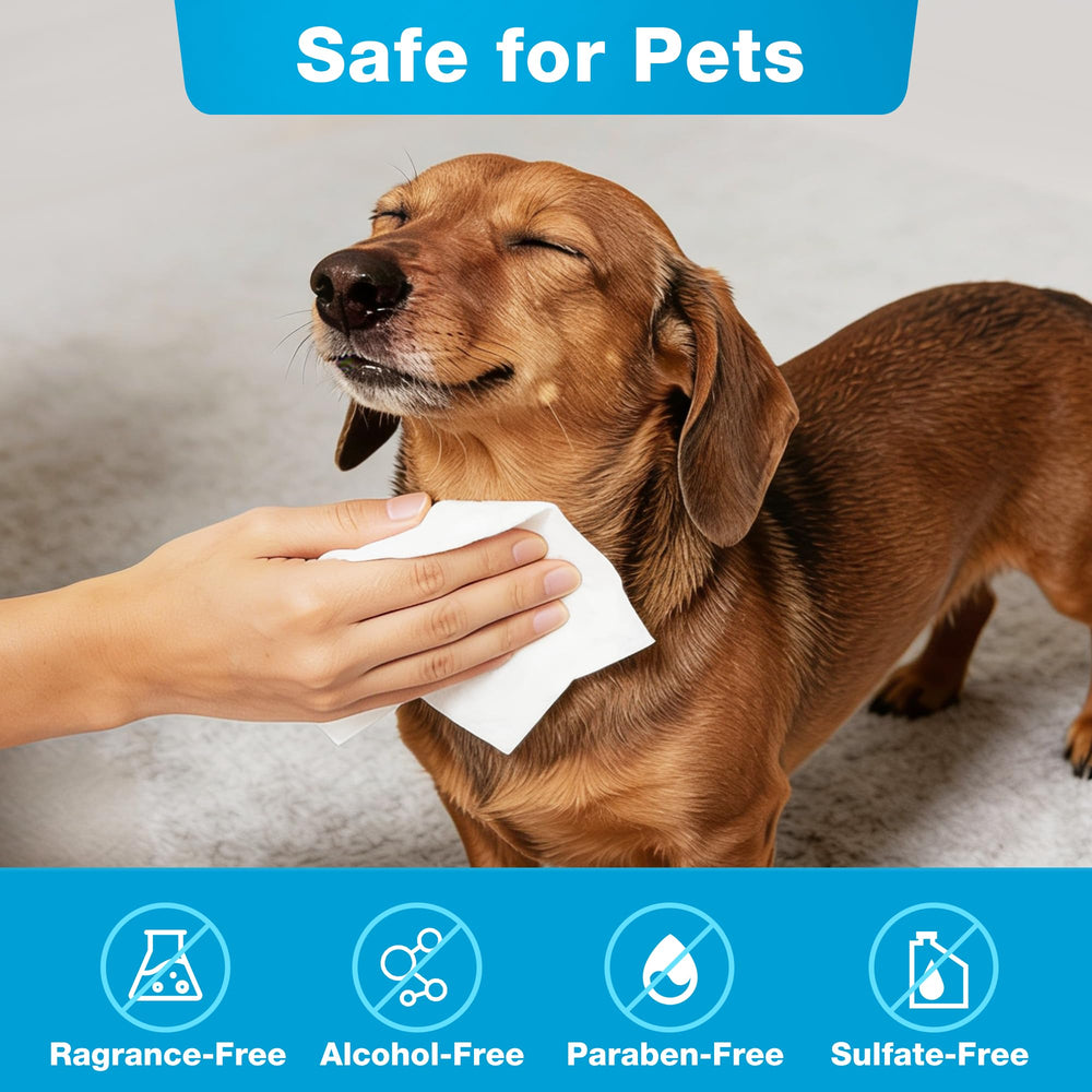 Prime Pets dog wipes unscented-packaging image emphasizes fragrance-free formula for sensitive pets.