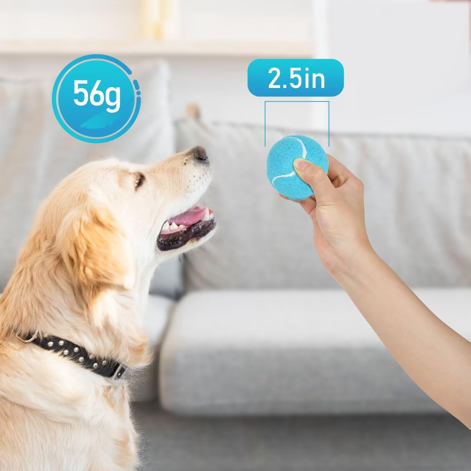 Prime Pets squeaky balls deliver interactive play with a rewarding squeak for training sessions.