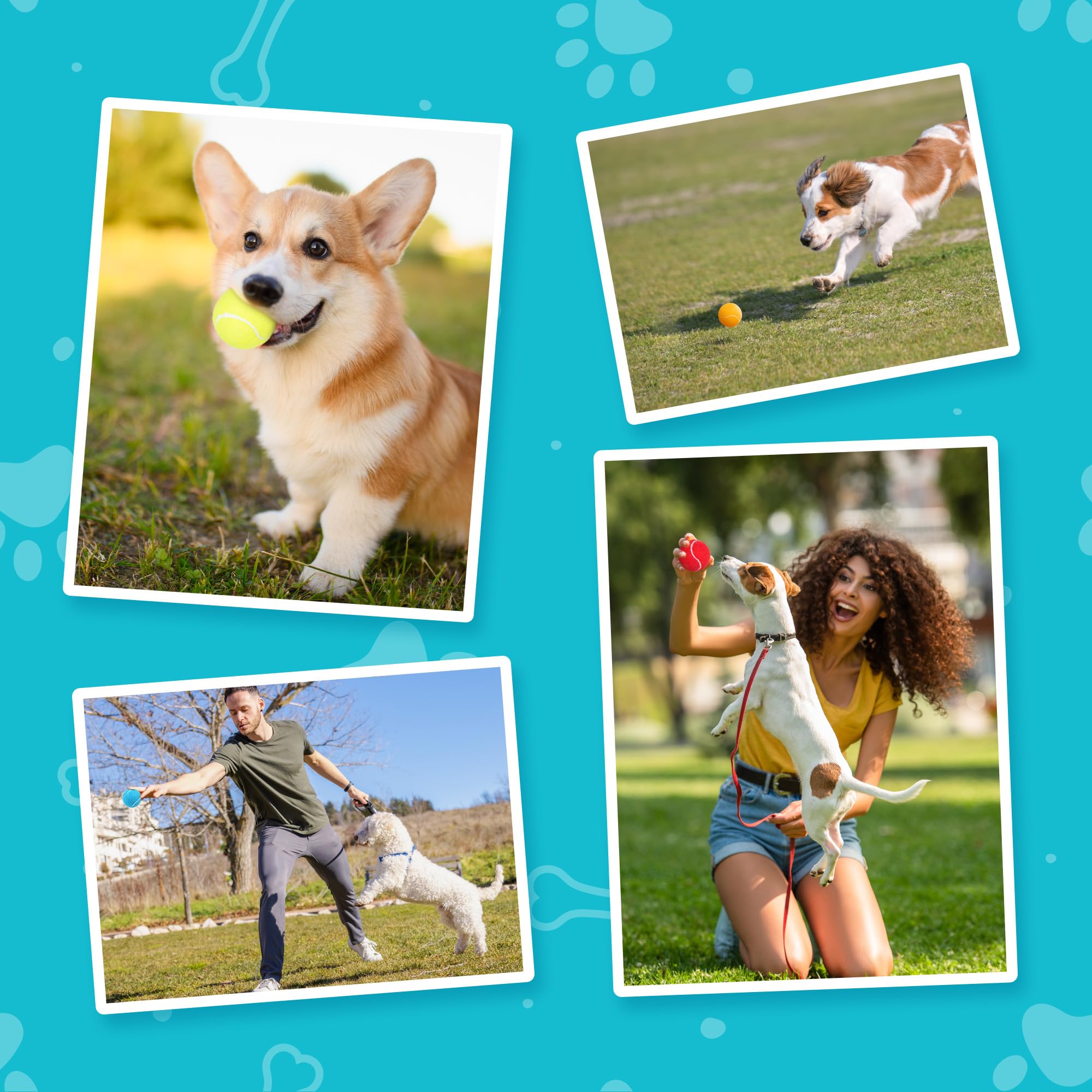 Prime Pets balls float on water for pool or beach fetch sessions.