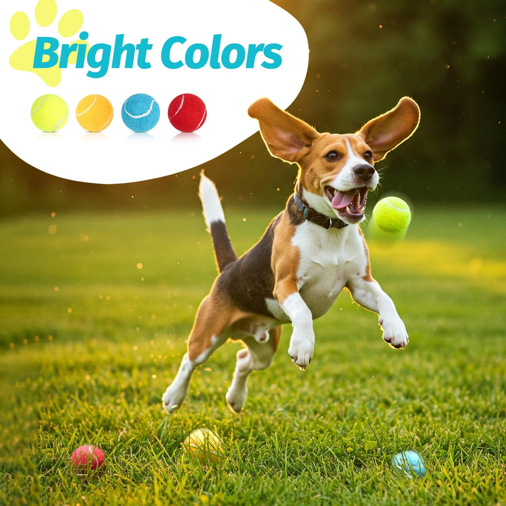 Prime Pets ball in outdoor fetch action highlights high-bounce play.