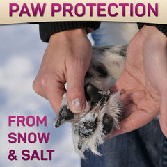 Primens Dog Paw Balm nose application demonstrates quick-absorbing relief for dry noses.