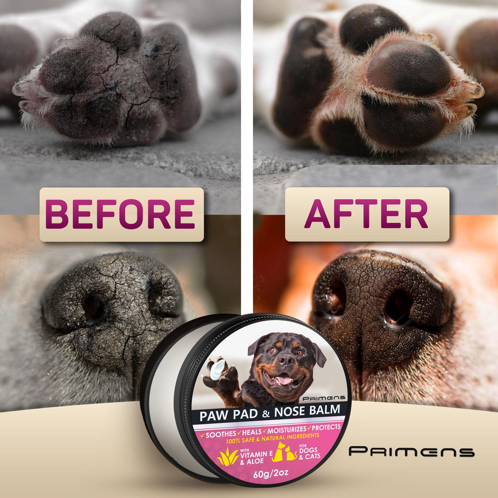 Primens Dog Paw Balm in snow scene highlights winter protection for pads.