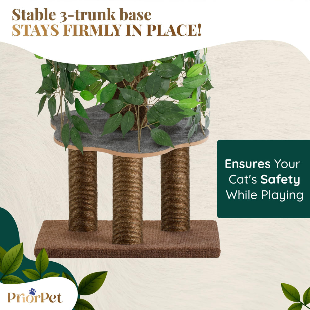 Priorpet Cat Tree with five posts supports claw-scratching while protecting furniture.
