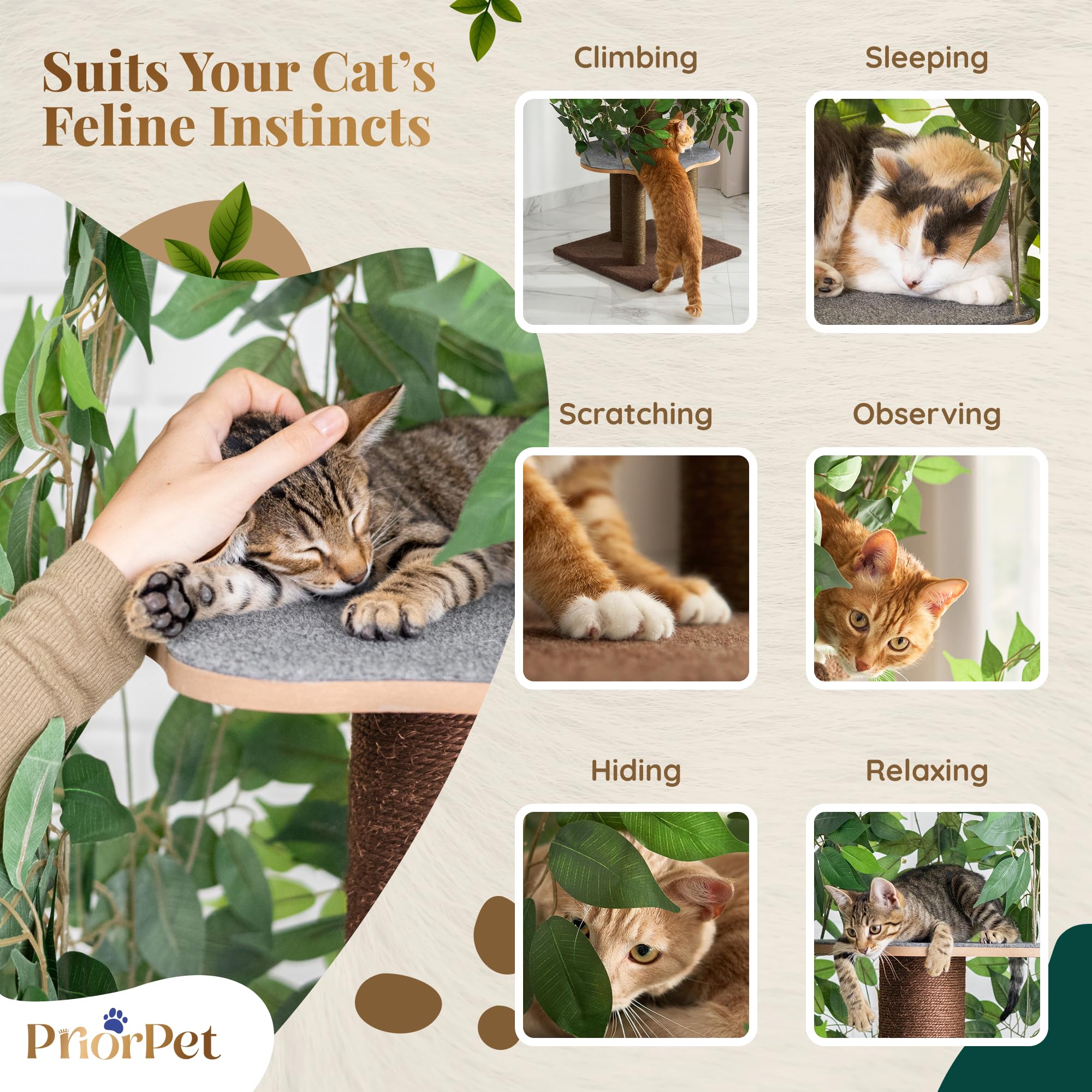 Priorpet Cat Tree compact footprint saves space in apartments while delivering enrichment.
