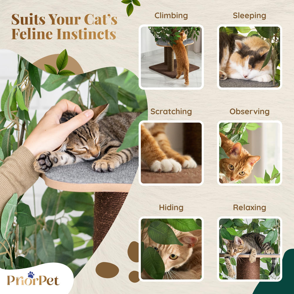 Priorpet Cat Tree compact footprint saves space in apartments while delivering enrichment.