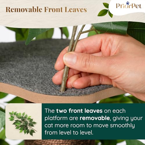 Priorpet Cat Tree 63-inch height offers vertical exploration in indoor spaces.