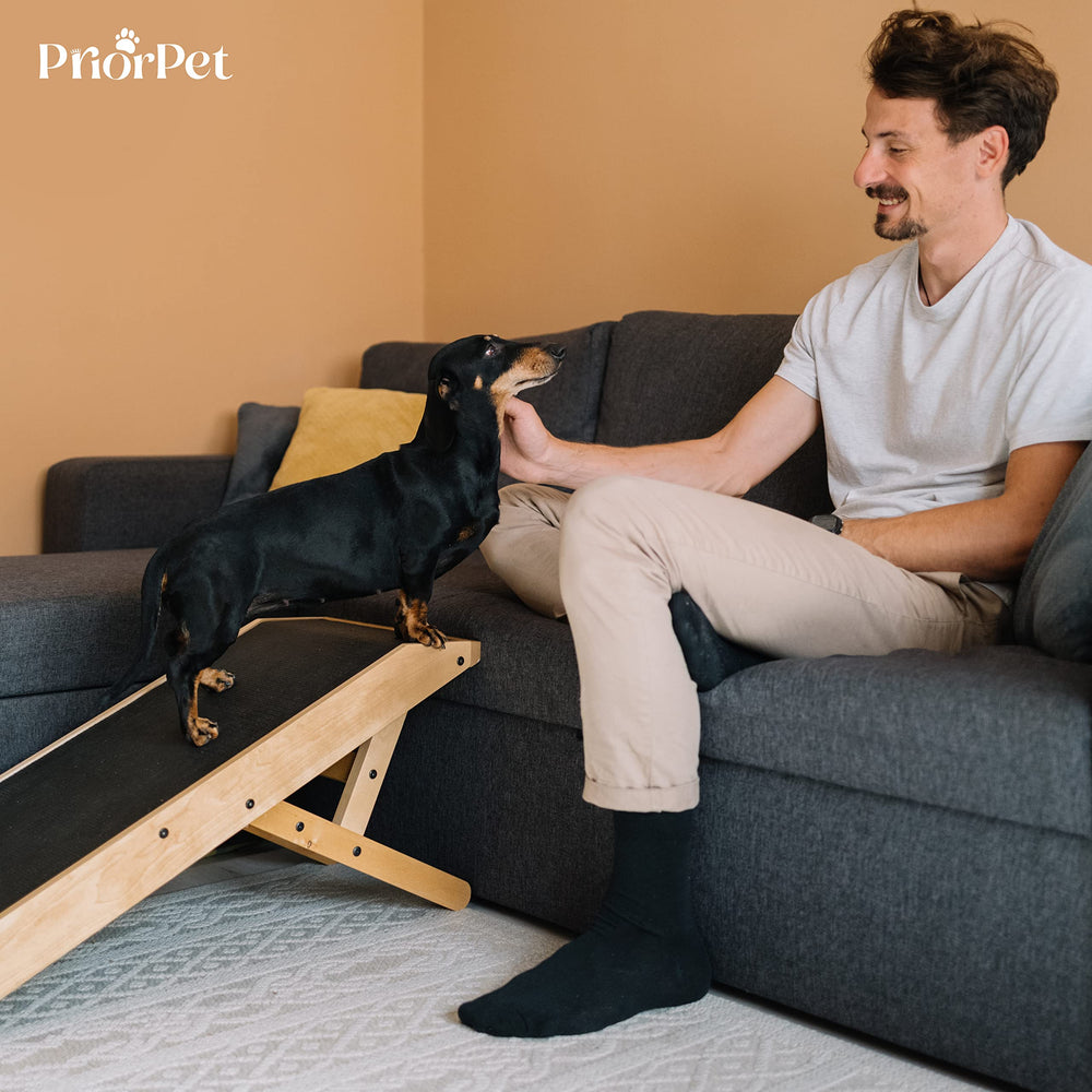 Priorpet dog ramp ships fully assembled with no tools needed.