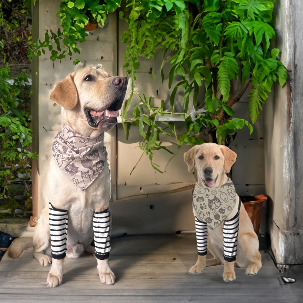 PriPre breathable mesh fabric keeps dogs comfortable during extended wear.