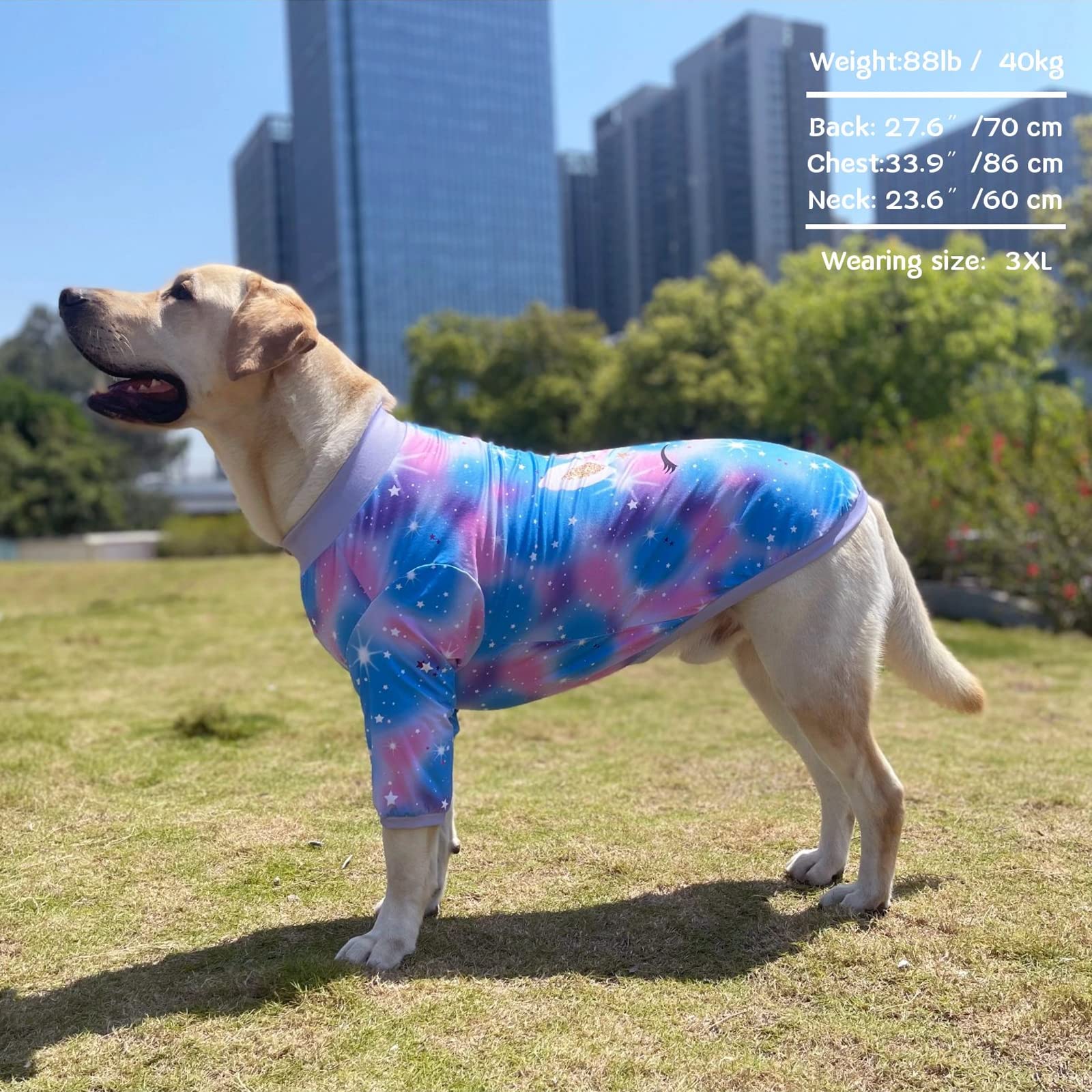 PriPre blue purple tiedye shirt wash durability helps busy pet parents.