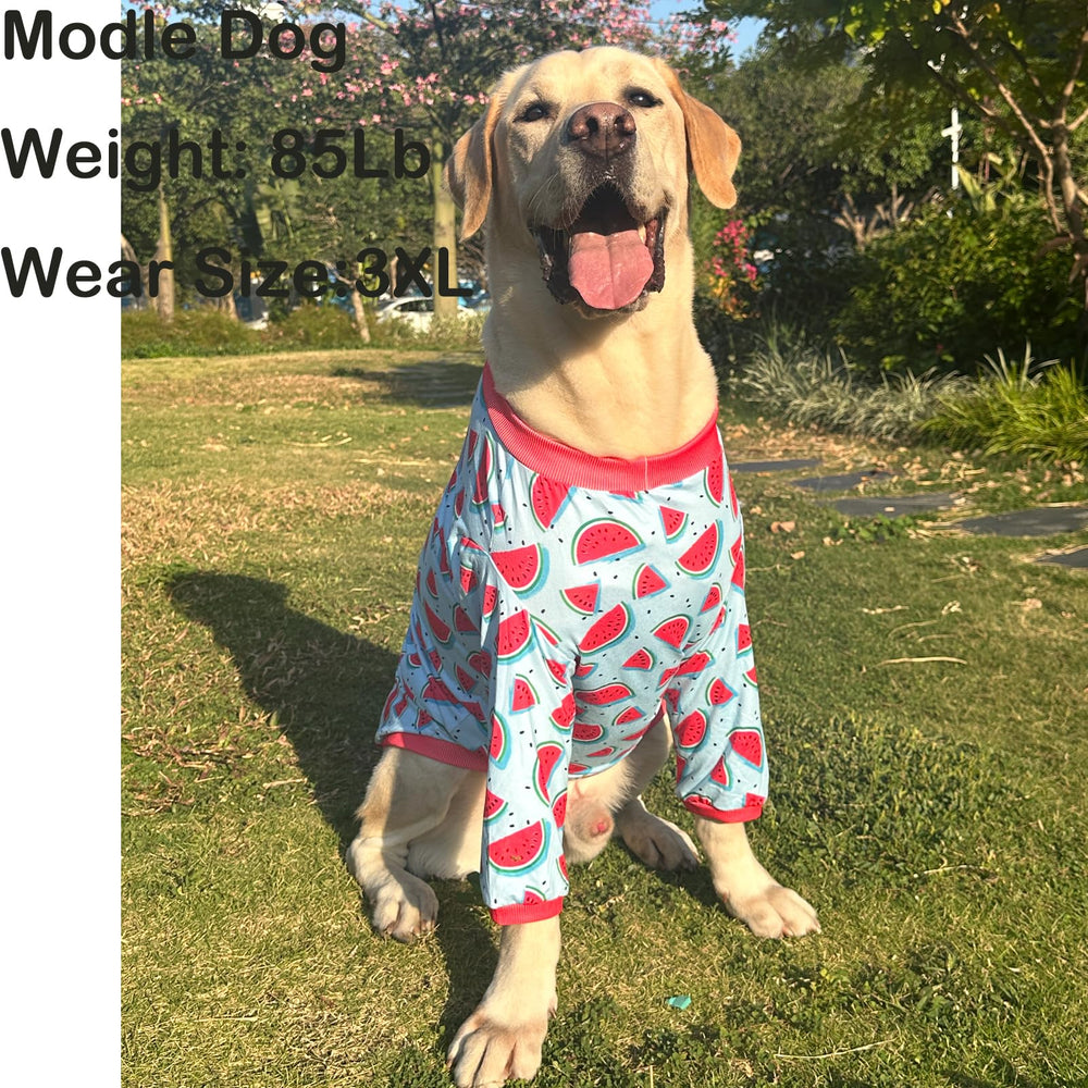 PriPre dog blue watermelon shirt belly-cut design eases potty breaks.