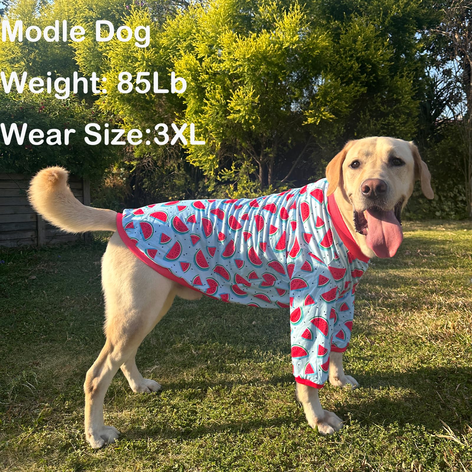 PriPre dog blue watermelon shirt breathable fabric keeps skin comfy.
