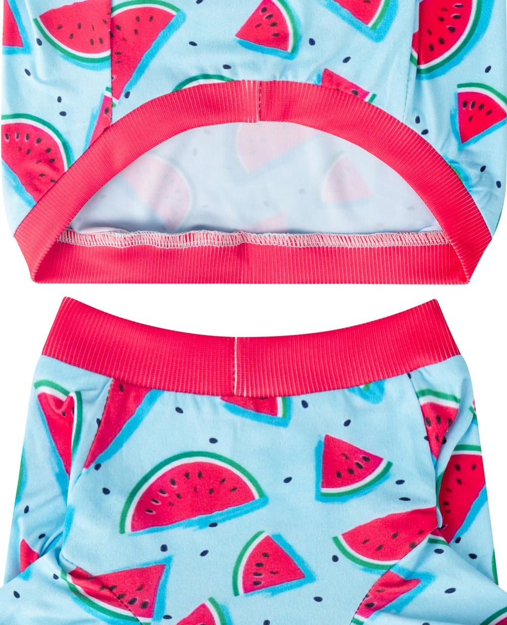 PriPre dog blue watermelon shirt easy on-off for quick changes.