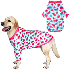 PriPre dog blue watermelon shirt on a small dog for everyday comfort.