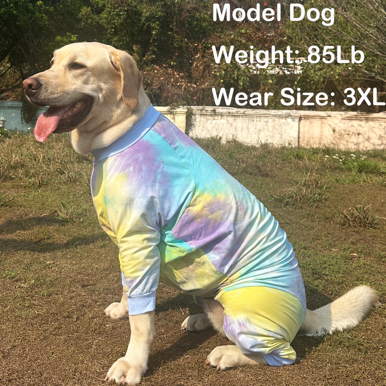 PriPre dog pajamas blue tie-dye outdoor-wear view suggests comfy outings