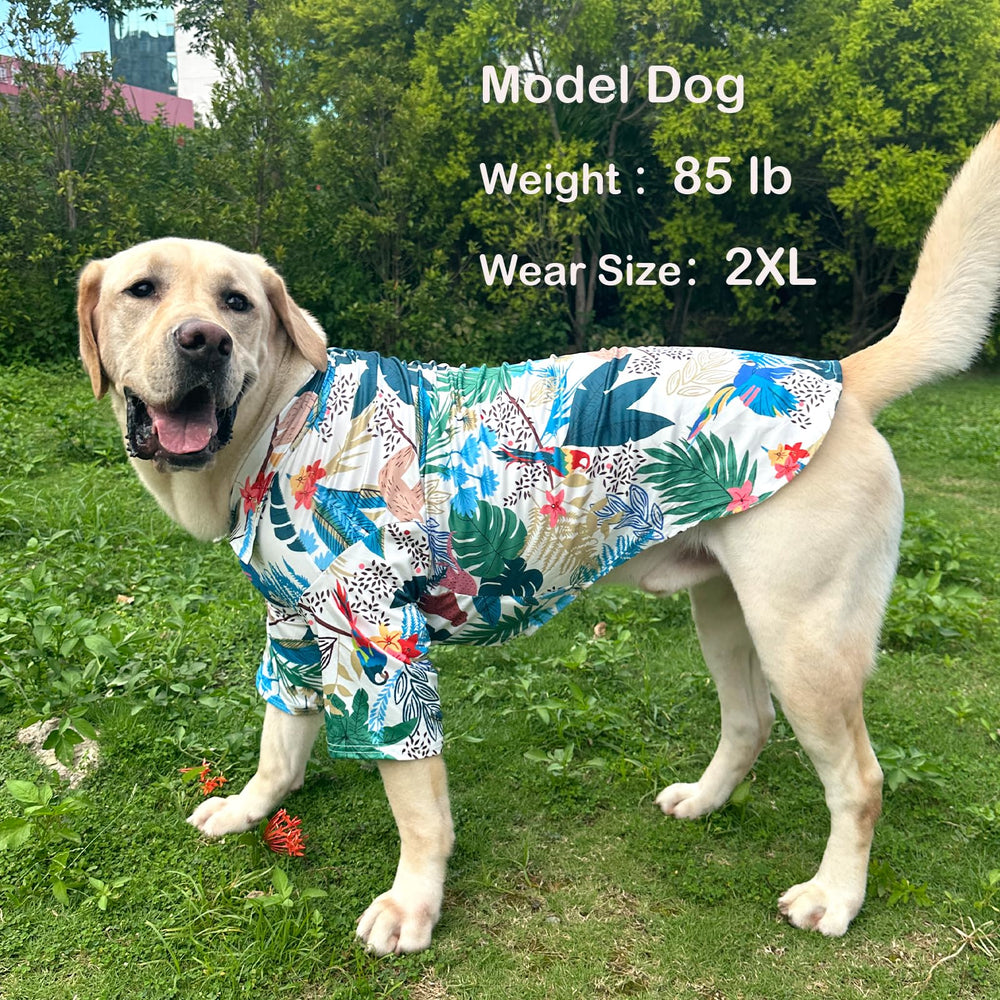 PriPre dog shirt hawaiian green buckle close-up demonstrates easy adjustable fit.