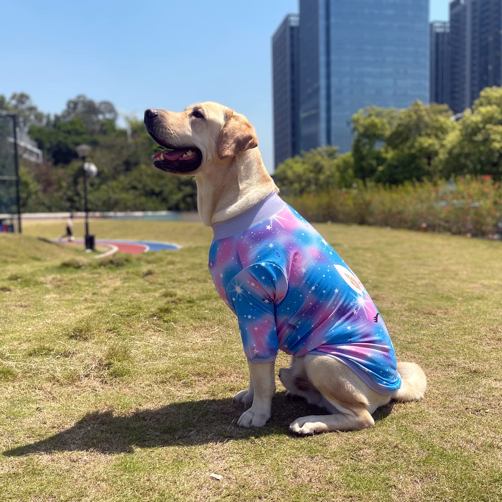 PriPre dog unicorn pattern photo shoot-ready shirt boosts cute moments in everyday life.