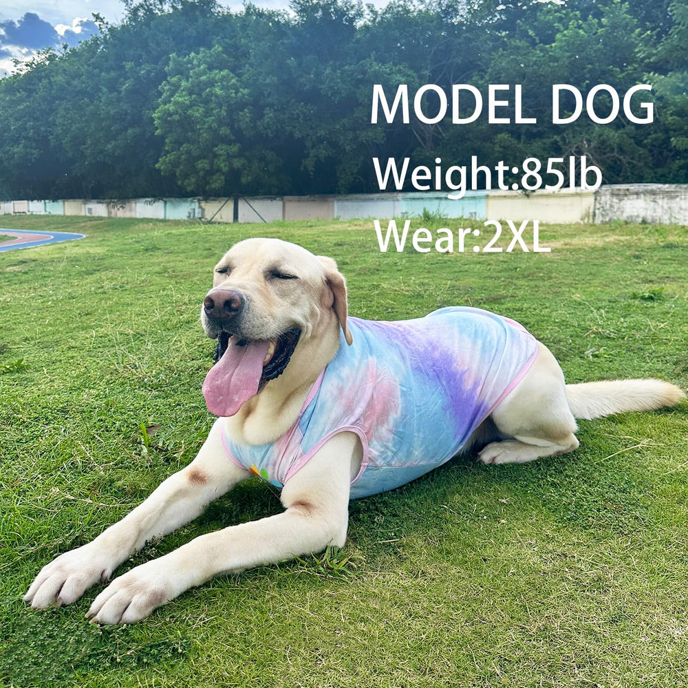 PriPre summer tie-dye dog shirt close-up elastic hem for secure fit