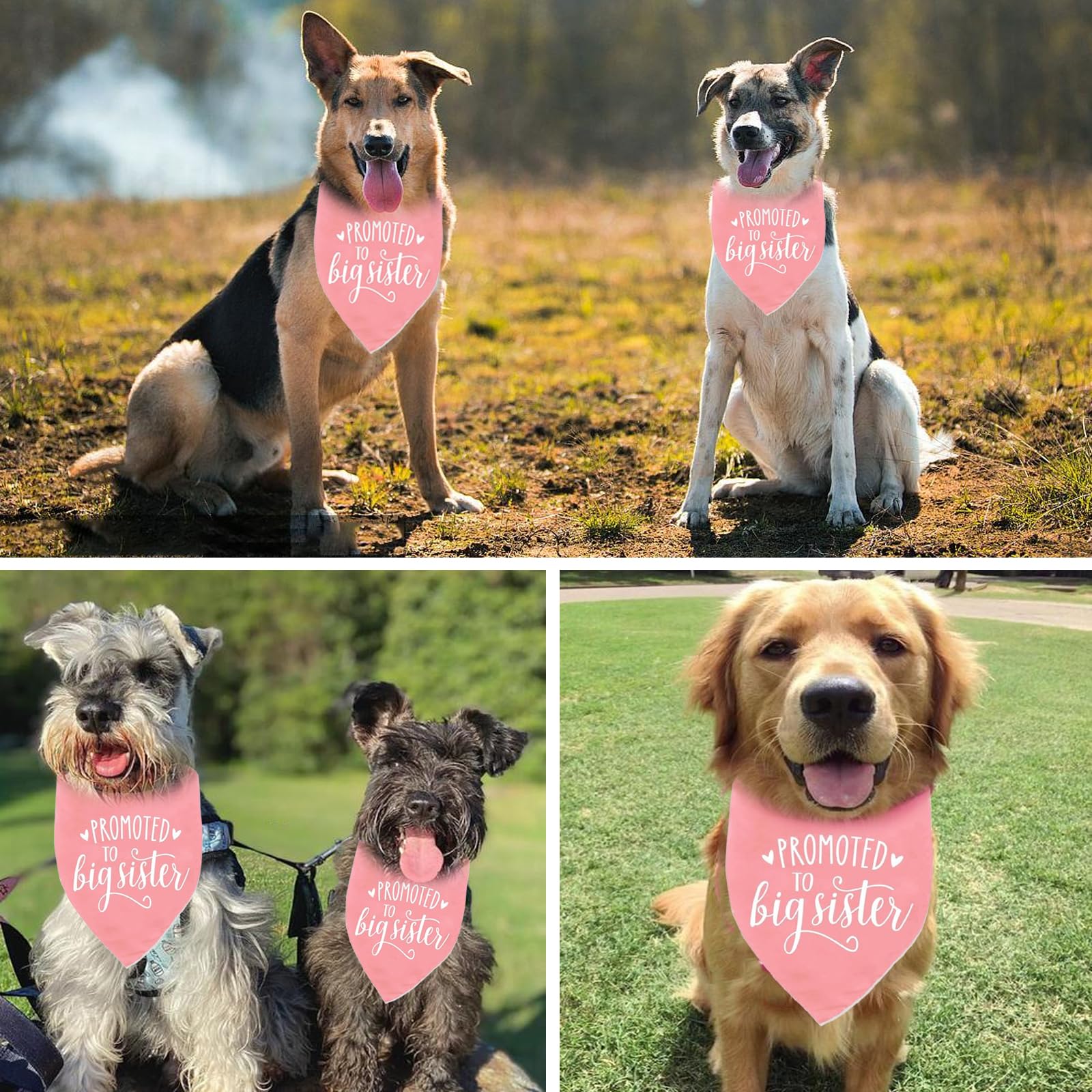 PRITIWEL pink pattern detail highlights Promoted to Big Sister design for celebration