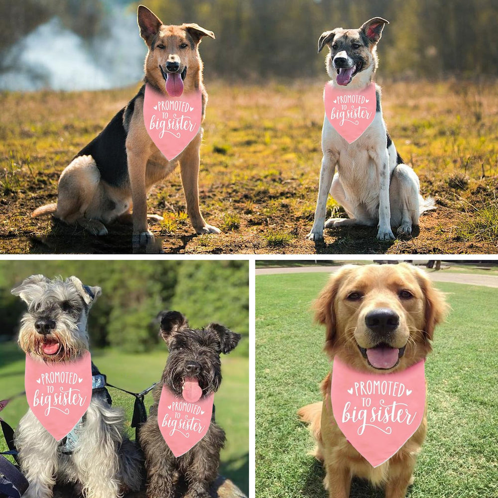 PRITIWEL pink pattern detail highlights Promoted to Big Sister design for celebration