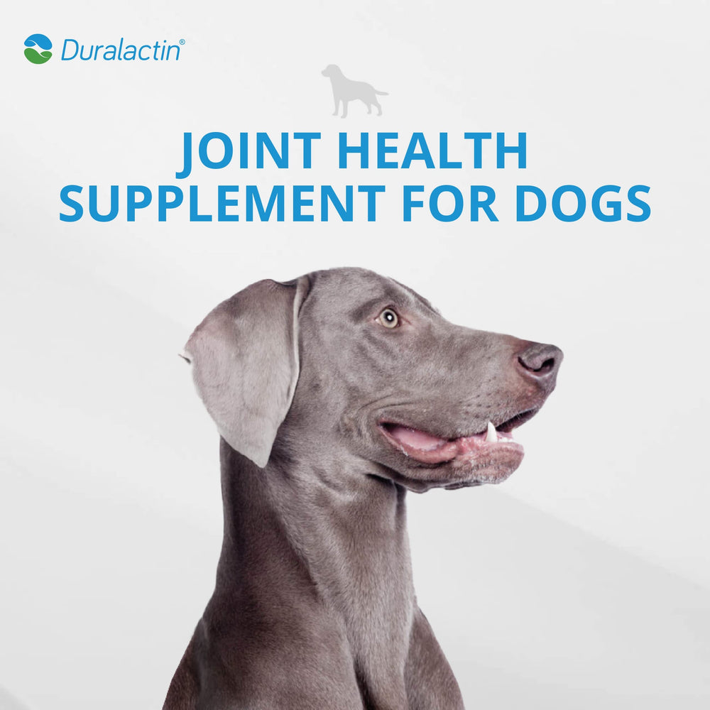 PRN Duralactin Canine Joint Plus soft chews closeup highlights tasty chicken-liver flavor.