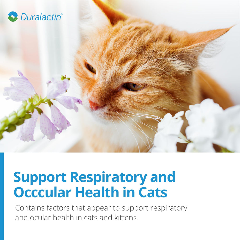 PRN Duralactin 3-pack packaging provides steady supply for households.