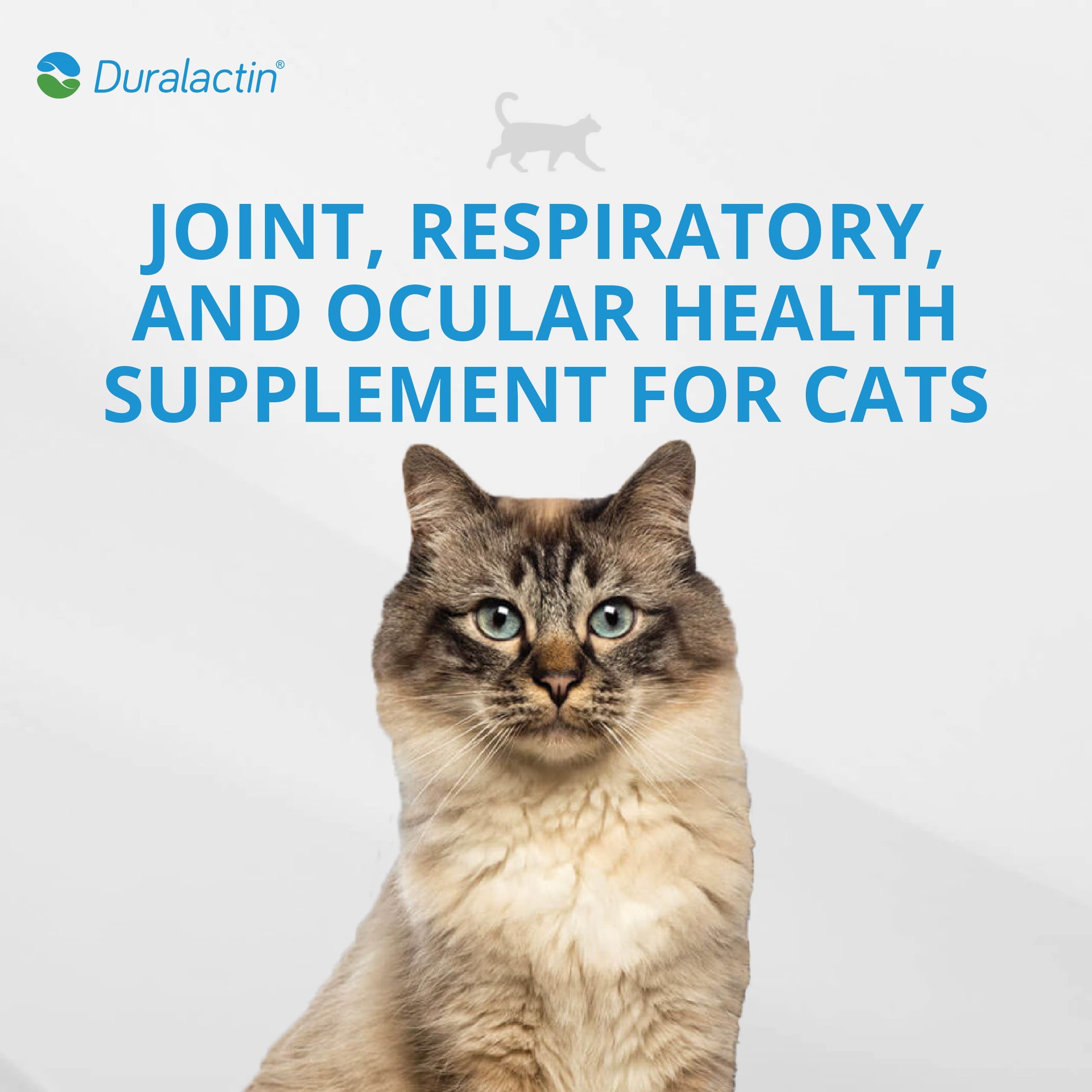 PRN Duralactin chicken-flavor paste supports palatability during dosing for cats.