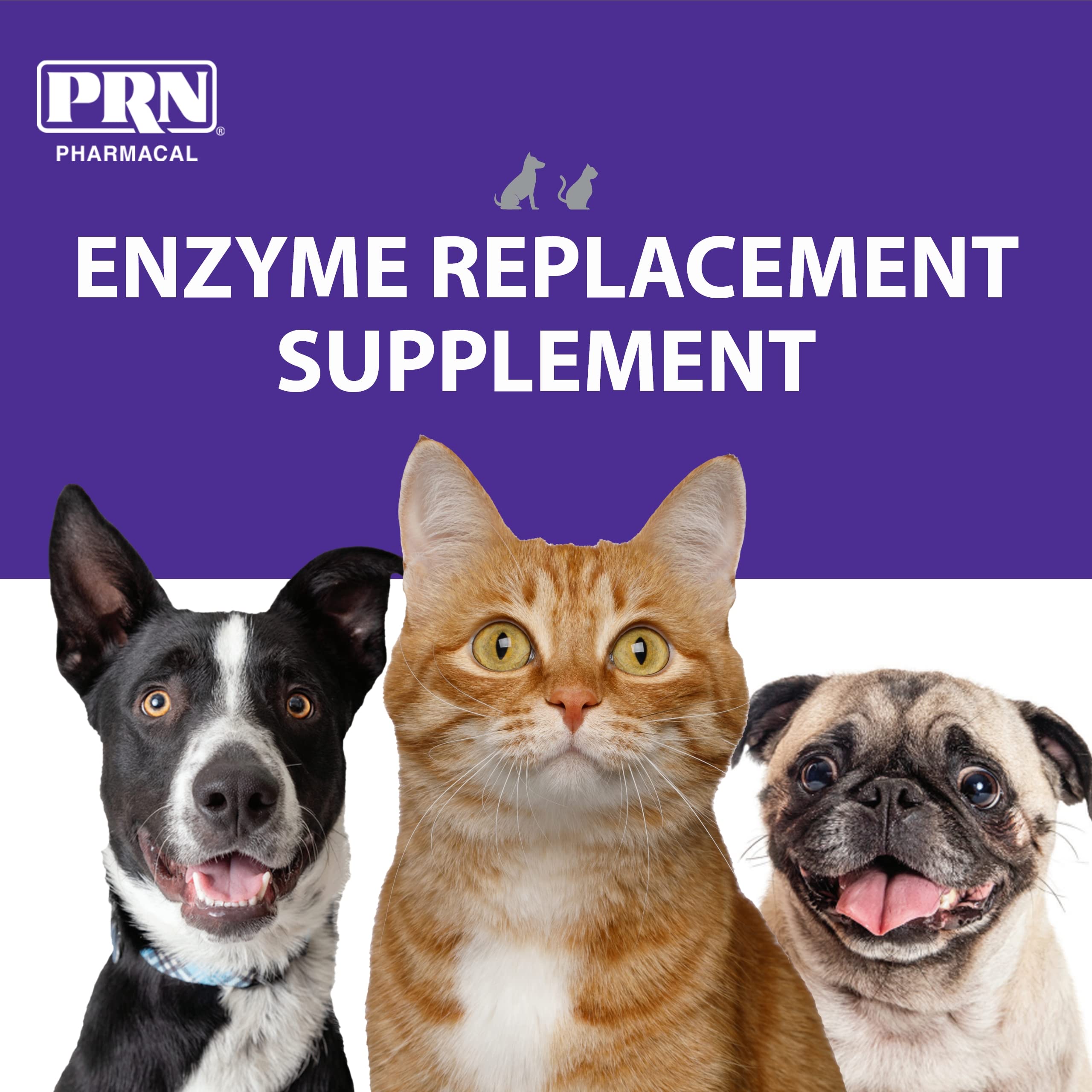 PRN ProZyme Original powder dispensing into pet food for easy digestion