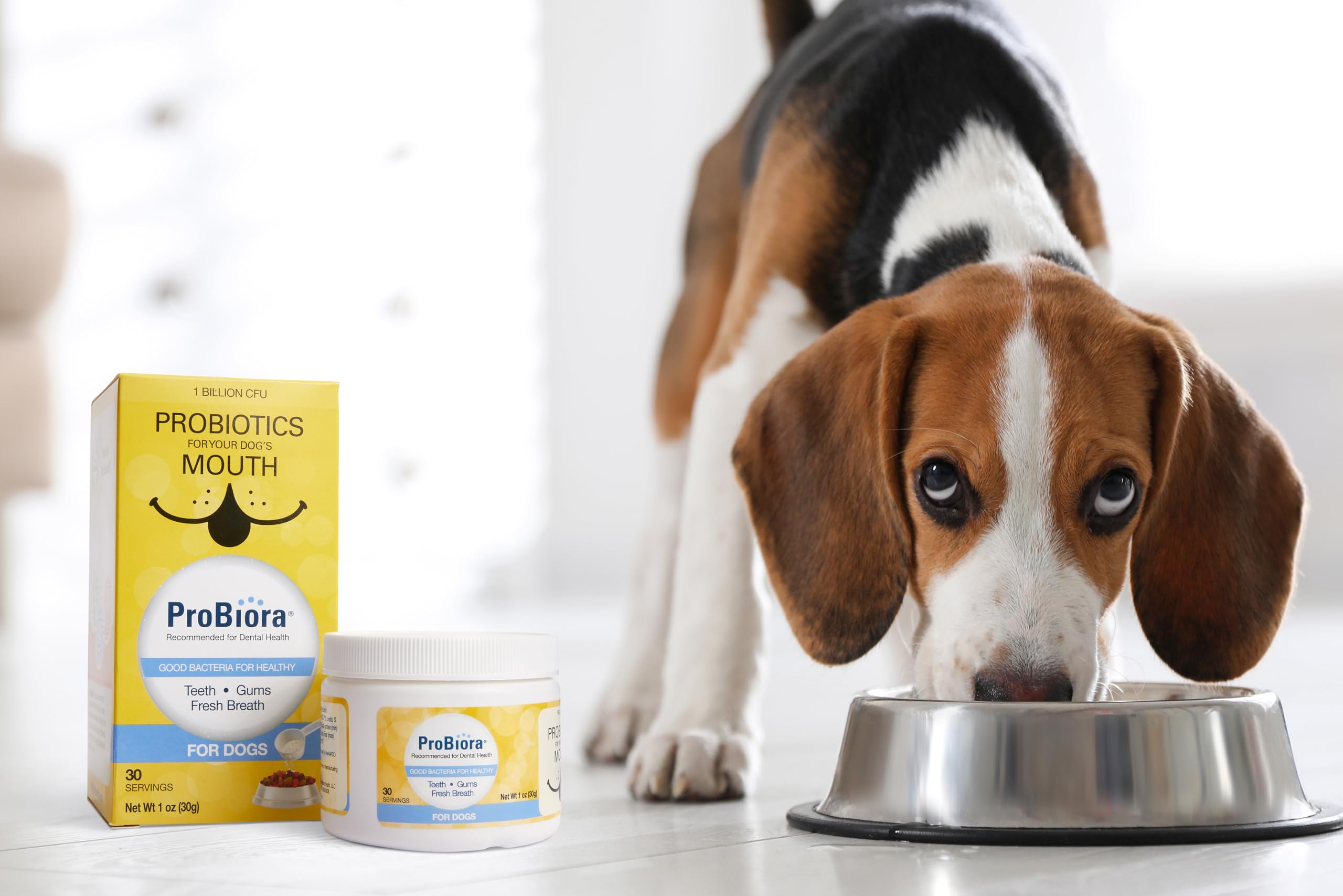 Probiora for Dogs fresh breath closeup highlights improved breath and cleaner gums.