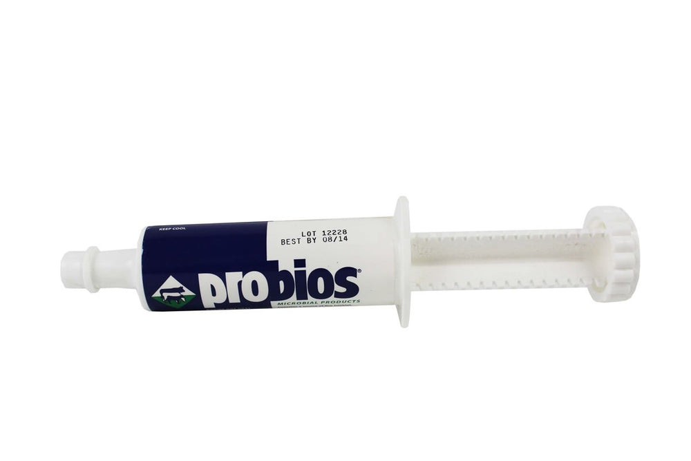 Probios Bovine One Oral Gel tube for ruminants supports gut balance during stress events.