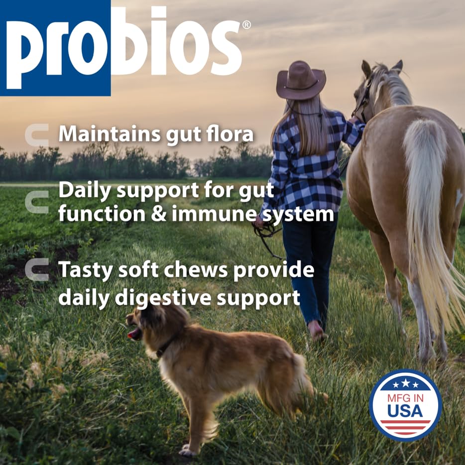 Probios pour chevaux: friandises en main pour usage quotidien