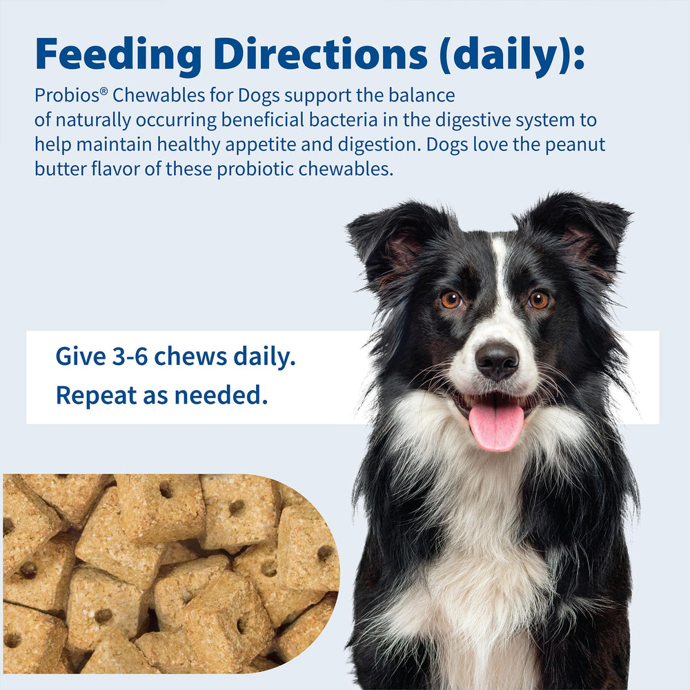 Probios daily-use dog digestion support chews shown for wellness and nutrient absorption.