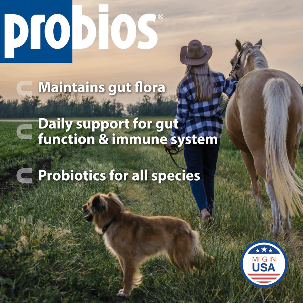 Probios dispersible powder poured into a dog dish for daily digestion.