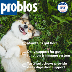 Probios dog soft chews closeup highlights chewy texture for easy daily gut health.