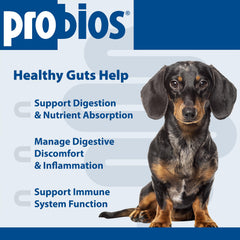 Probios dog soft chews chicken liver flavor label communicates probiotic benefits.
