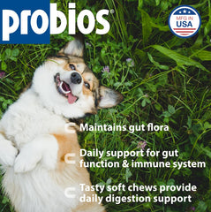 Probios Soft Chews dog chew with chicken flavor offers tasty probiotic support.