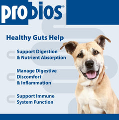 Probios Soft Chews dog paw with chew in mouth demonstrates on-the-go digestive support.