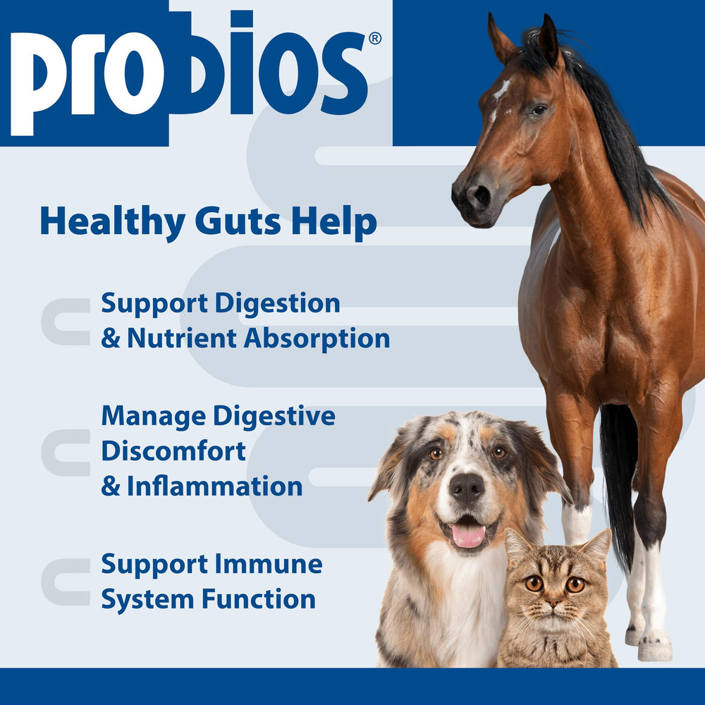 Probios probiotic blend with Enterococcus faecium supports gut balance.