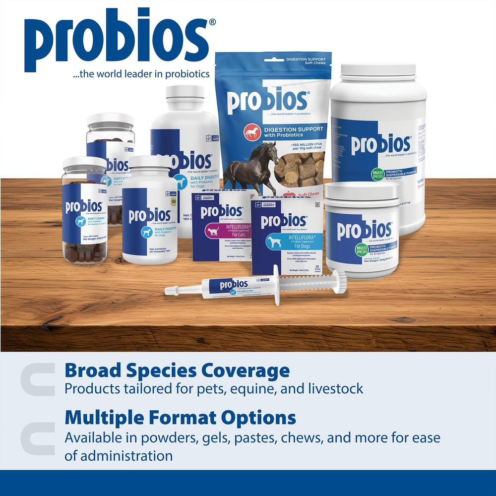 Probios immune-support chew for dogs demonstrates potential immune wellness through probiotics.