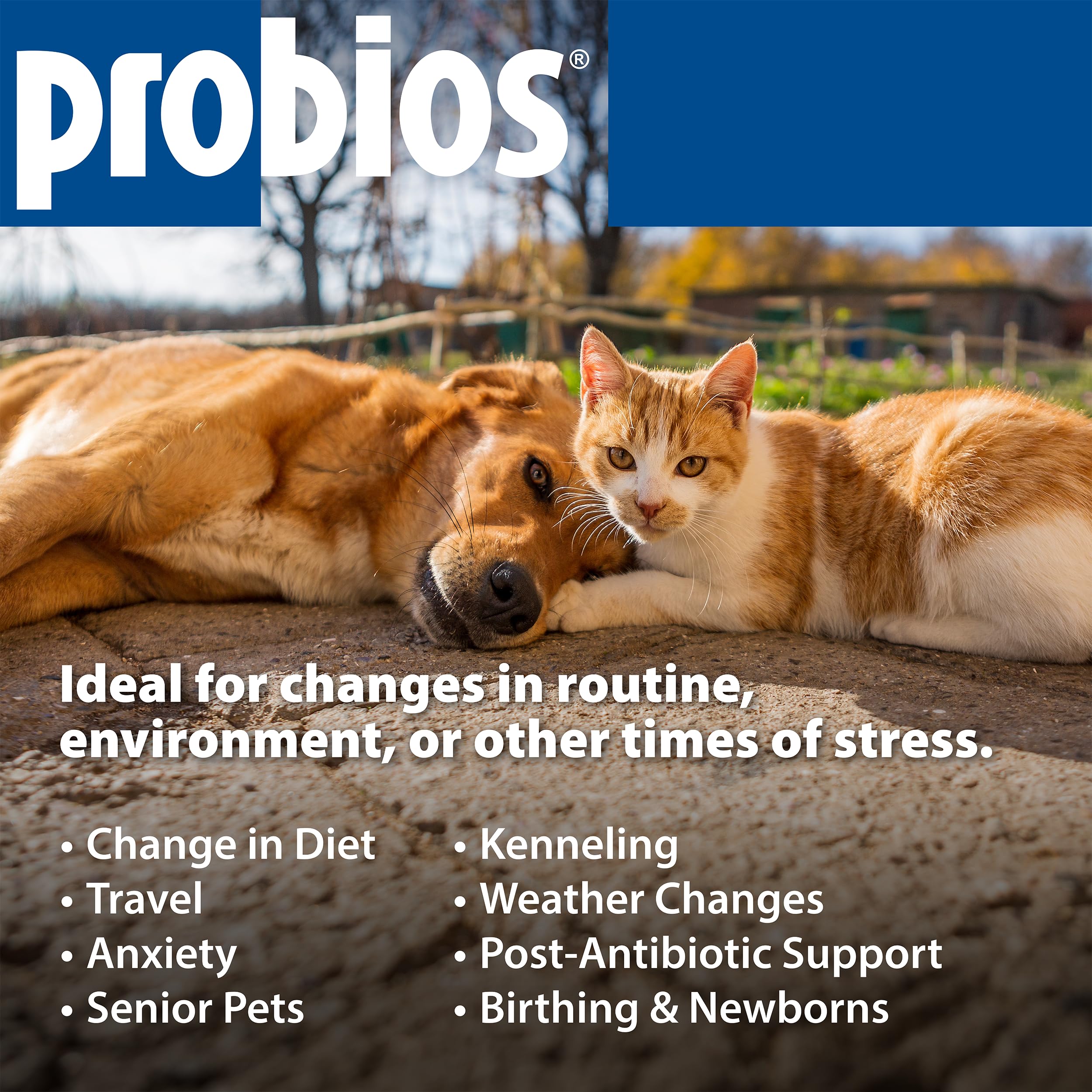 Probios USA-made SQF facility label stresses safety and consistency in every batch.