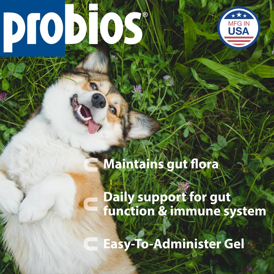 Probios Probiocin gel dispensing syringe used for precise pet dosing and easy administration.