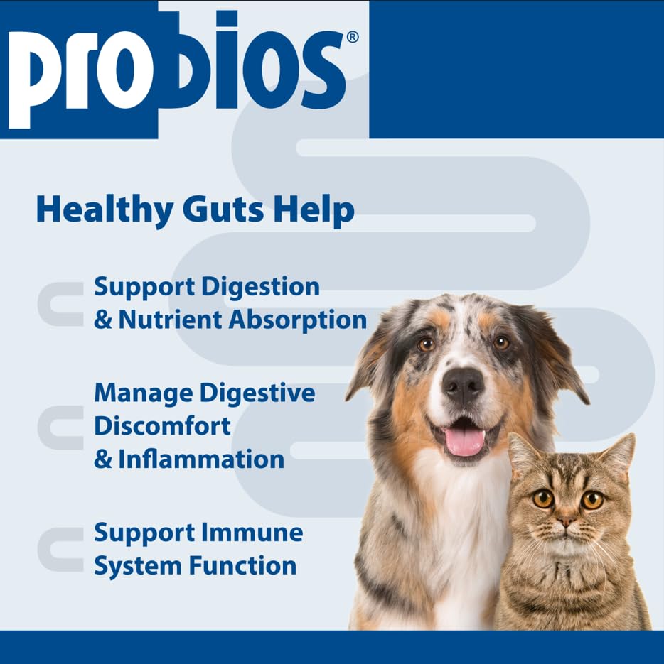 Probios Probiocin multi-strain blend supports diverse gut bacteria and immune balance.