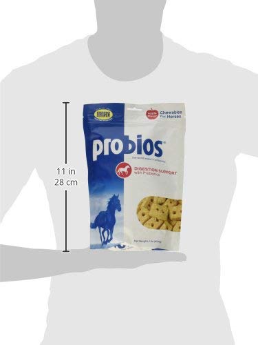 Probios apple-flavored horse treats close-up for digestive support