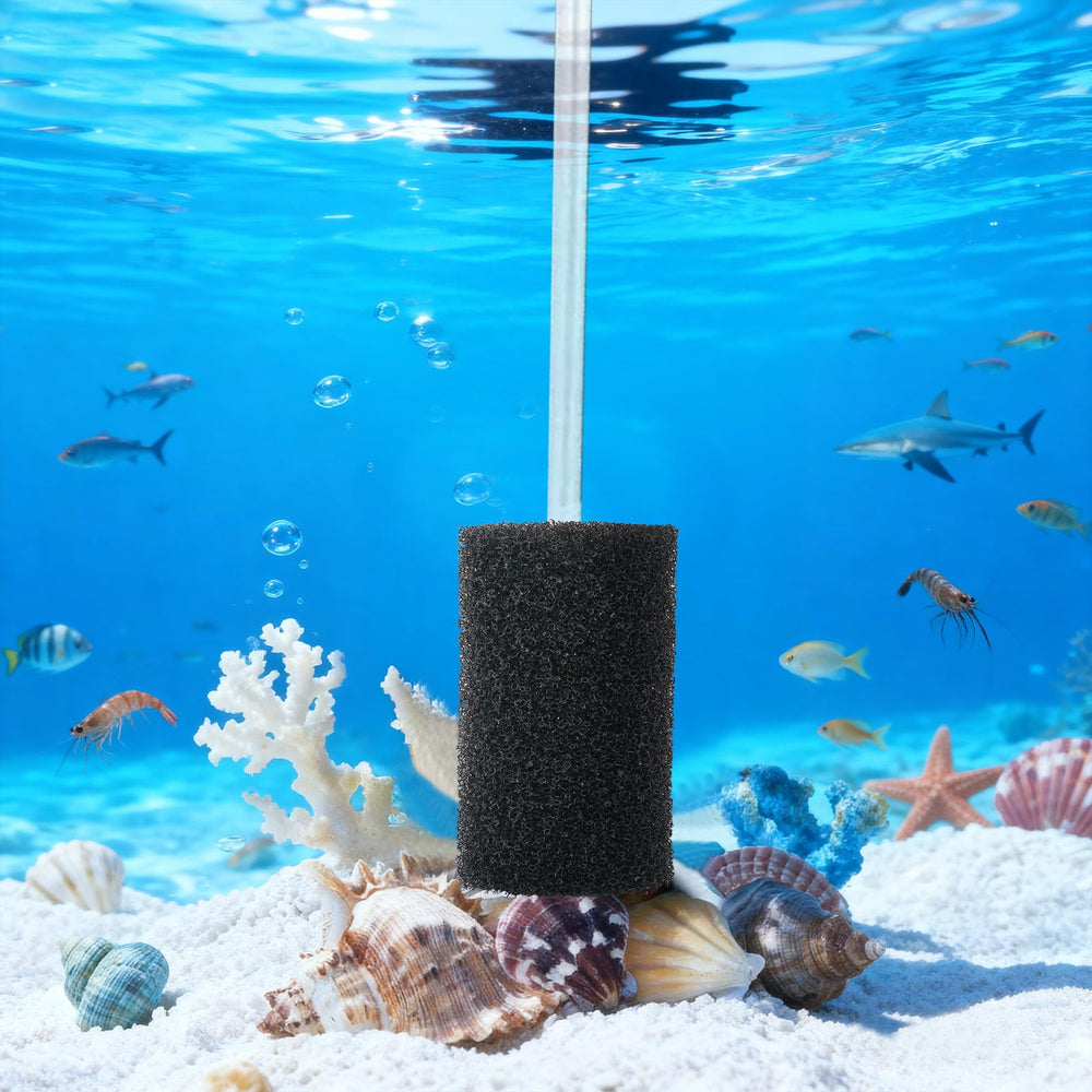 Proceat pre-filter sponge soaking-prepare phase demonstrates recovery and readiness after soaking.