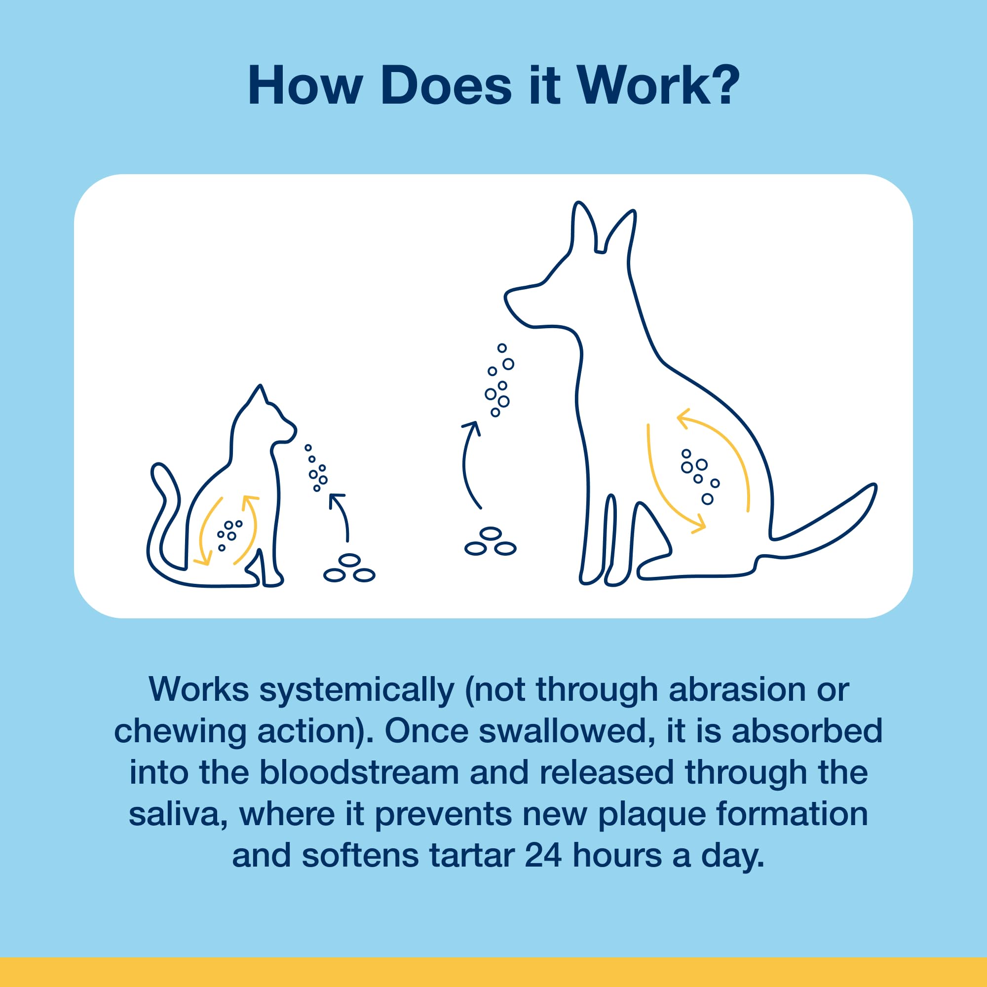 Happy dog after using ProDen PlaqueOff Dental Bites daily