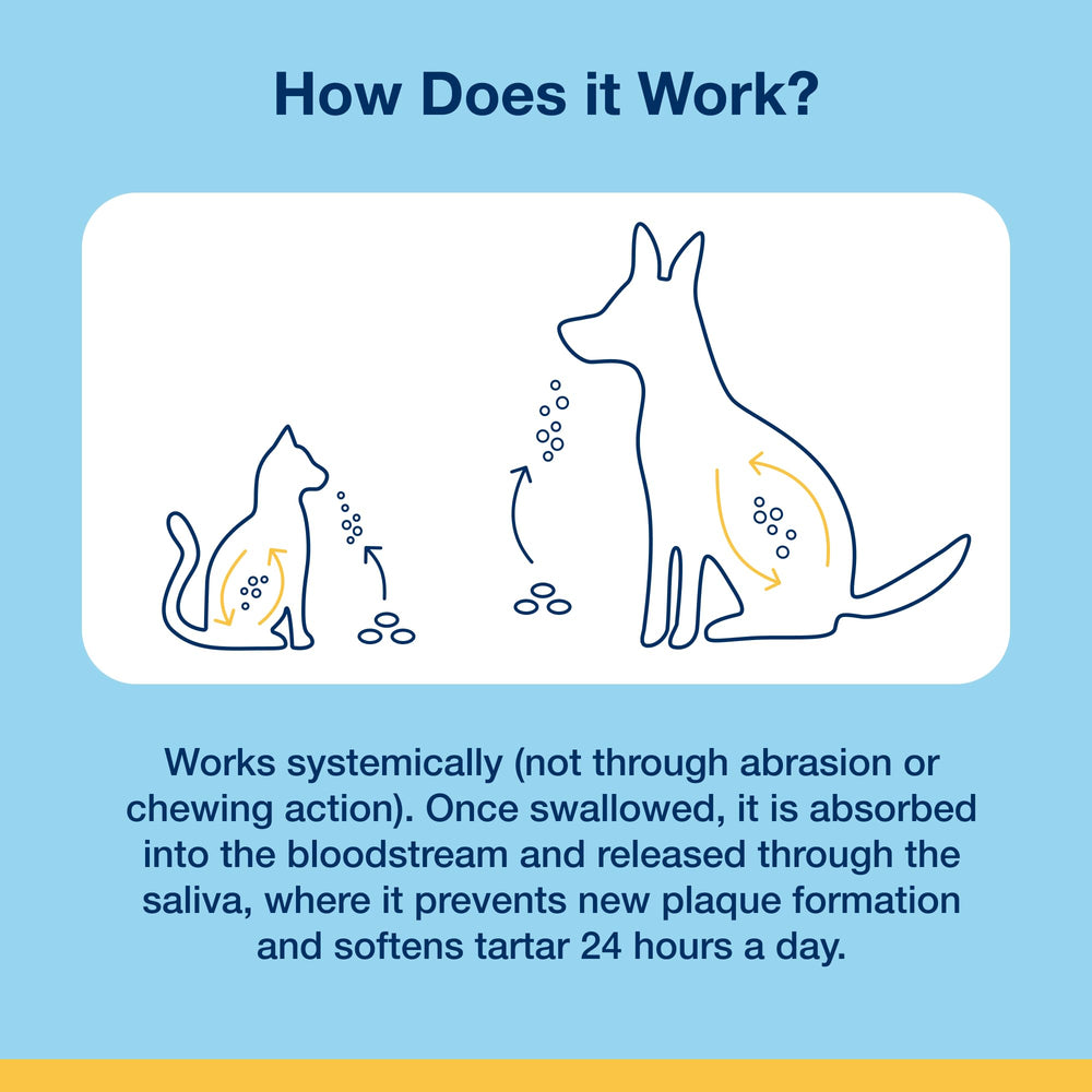 Happy dog after using ProDen PlaqueOff Dental Bites daily
