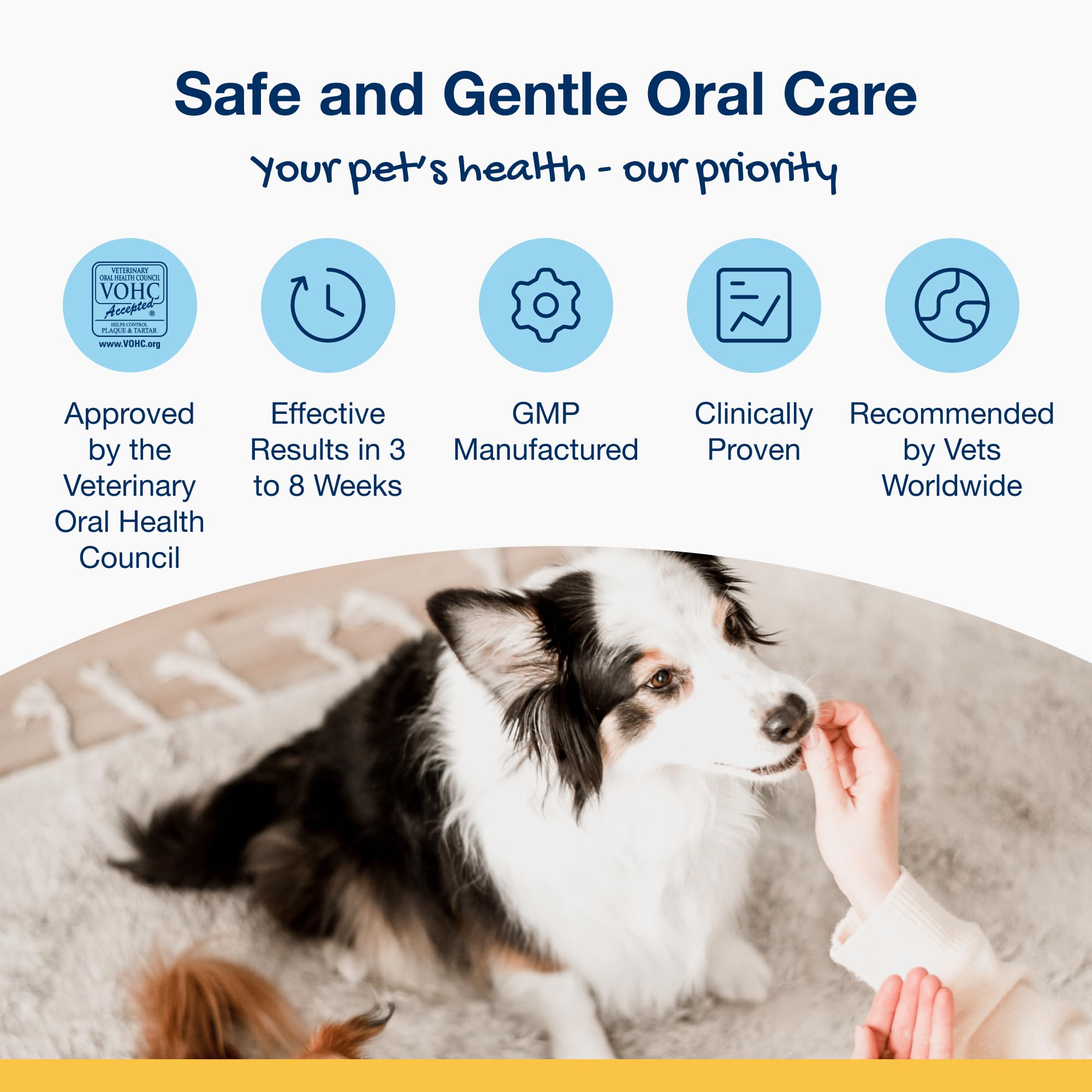 ProDen PlaqueOff Dental Bites on serving dish highlighting daily dental routine