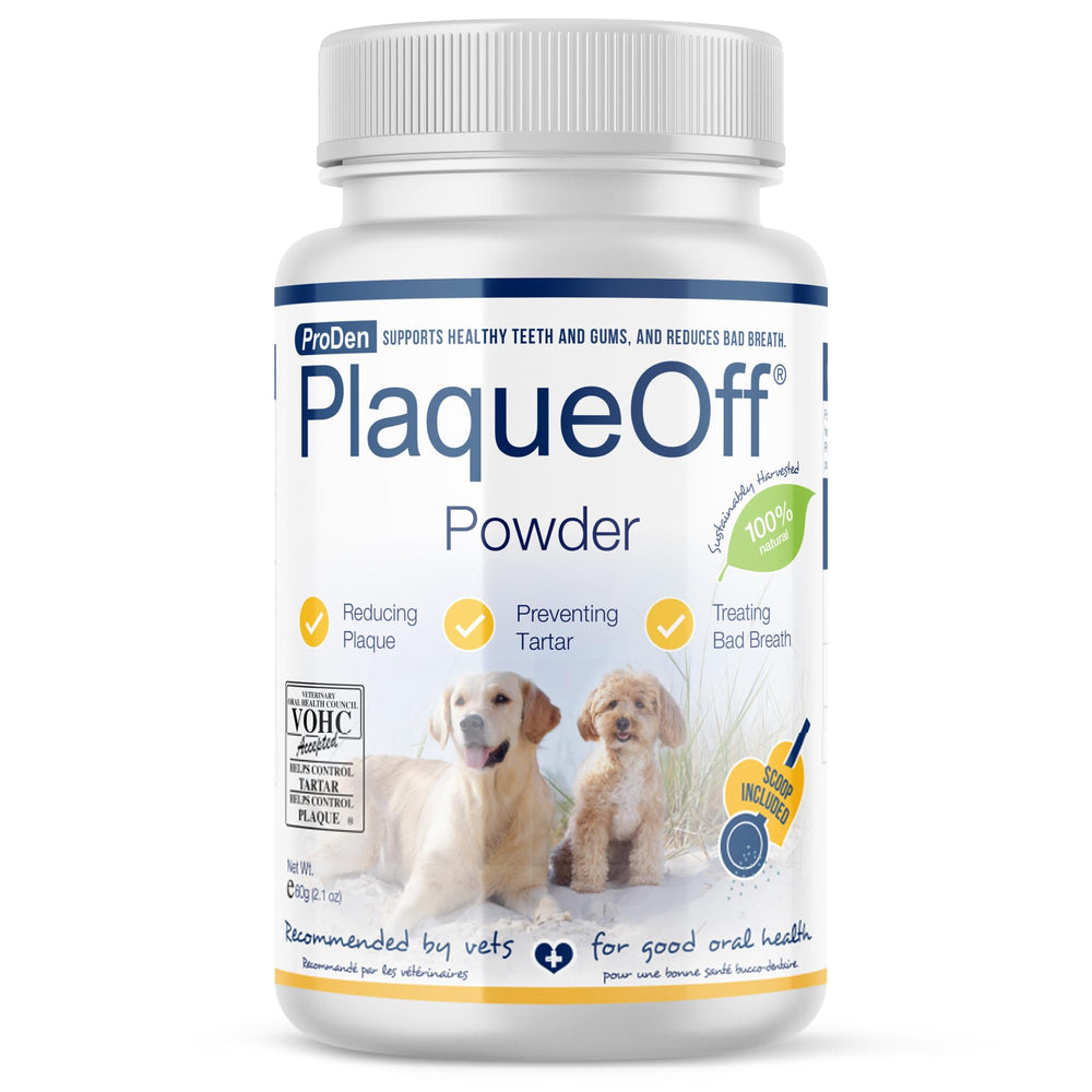 ProDen PlaqueOff front-label 60g tub for easy daily dental care.