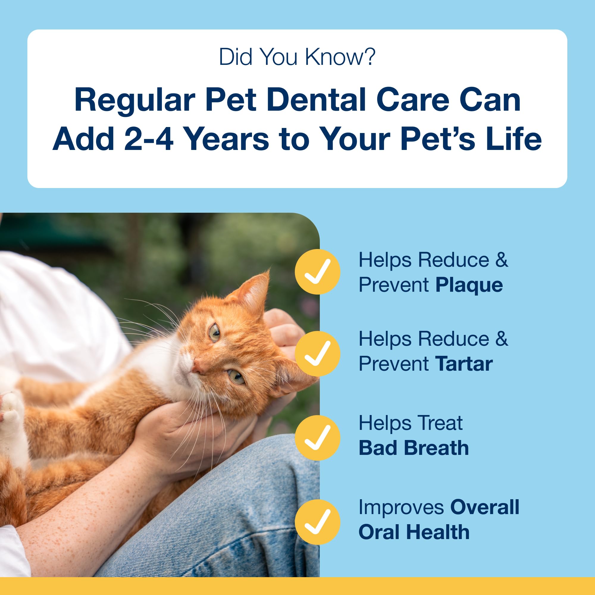 ProDen PlaqueOff powder dispensed on cat food for tastier daily care.