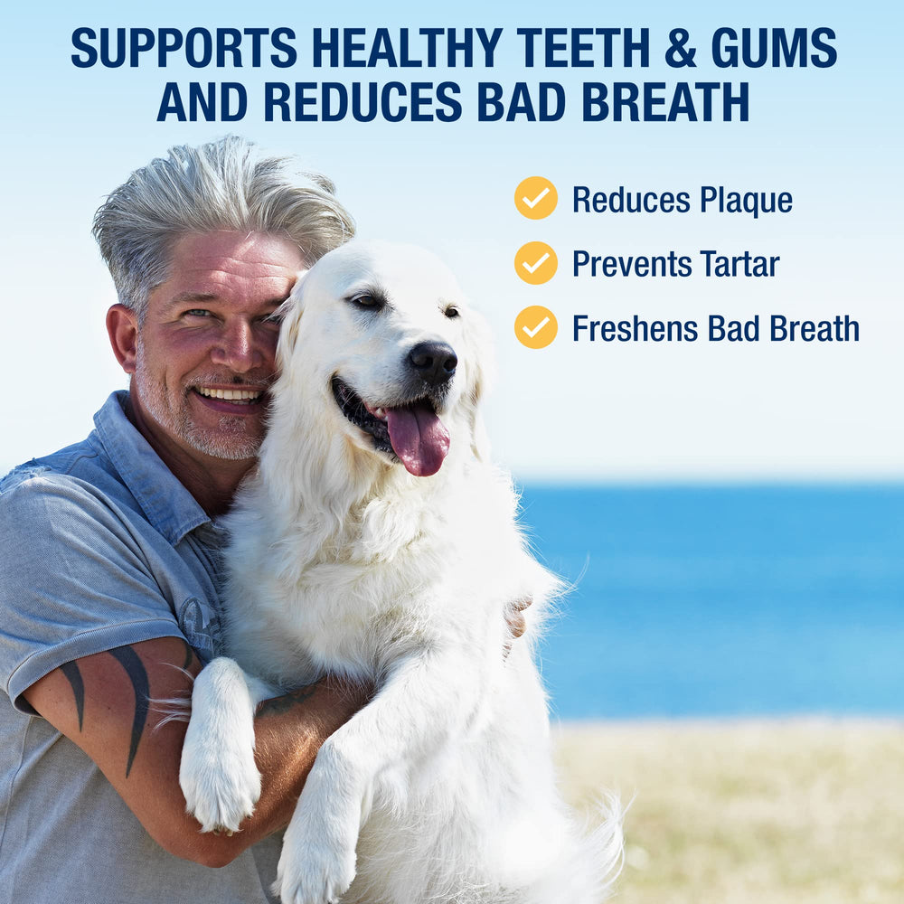ProDen PlaqueOff powder shown for dog breath improvement potential.