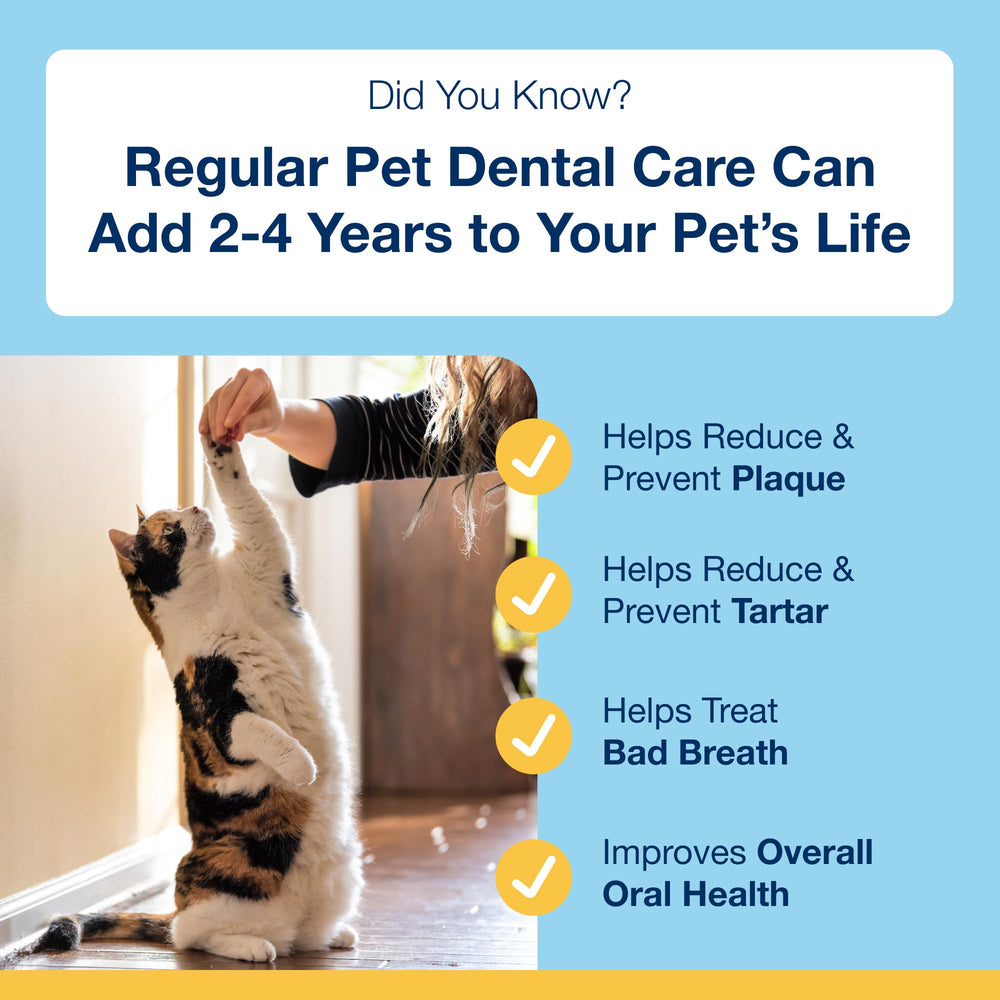 ProDen PlaqueOff Scoopables attract cats with salmon taste and fresher breath potential.